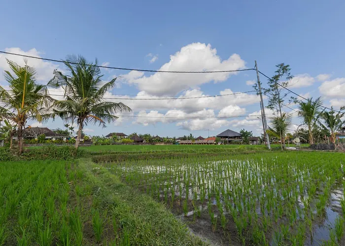 别墅 Niluh Private Pool
